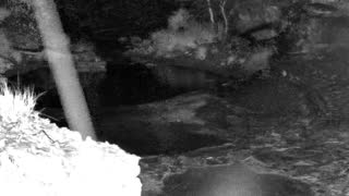 Still 1 from this detection