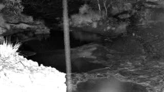 Still 1 from this detection