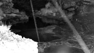 Still 1 from this detection