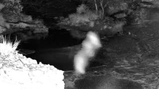 Still 1 from this detection