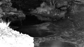 Still 1 from this detection