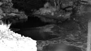 Still 1 from this detection