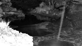 Still 1 from this detection
