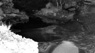 Still 1 from this detection
