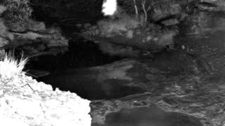 Still 1 from this detection