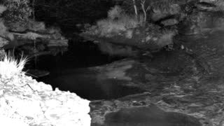 Still 1 from this detection