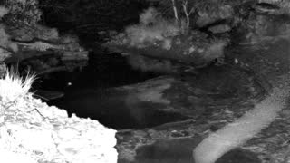 Still 1 from this detection