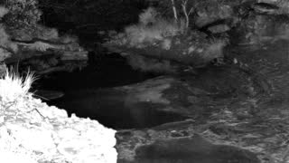 Still 1 from this detection