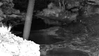Still 1 from this detection