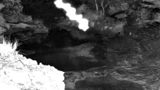 Still 1 from this detection