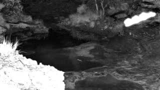 Still 1 from this detection