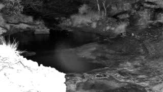 Still 1 from this detection