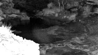 Still 1 from this detection