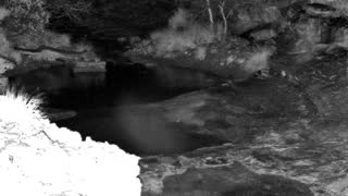 Still 1 from this detection
