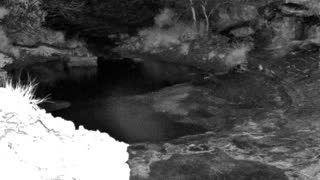 Still 1 from this detection