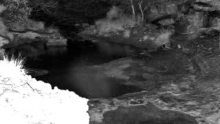 Still 1 from this detection