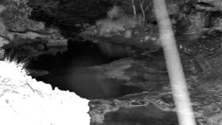 Still 1 from this detection
