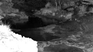 Still 1 from this detection