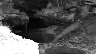 Still 1 from this detection