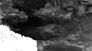 Still 1 from this detection