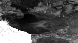 Still 1 from this detection