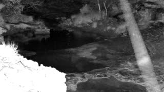 Still 1 from this detection