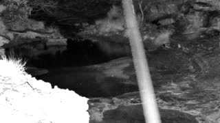 Still 1 from this detection