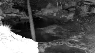 Still 1 from this detection