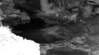 Still 1 from this detection