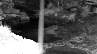 Still 1 from this detection