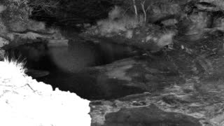 Still 1 from this detection