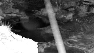 Still 1 from this detection