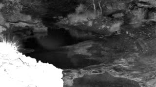 Still 1 from this detection