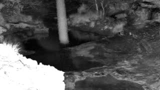 Still 1 from this detection