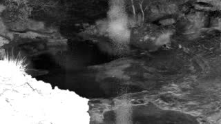 Still 1 from this detection
