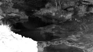 Still 1 from this detection