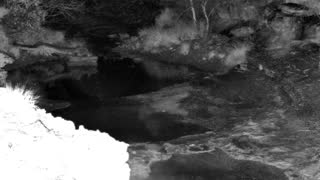 Still 1 from this detection