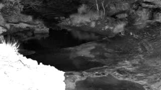 Still 1 from this detection