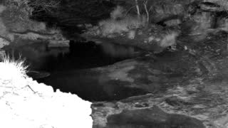Still 1 from this detection