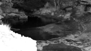 Still 1 from this detection