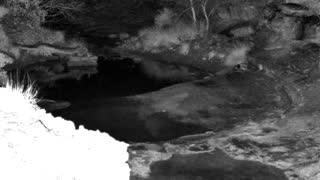 Still 1 from this detection