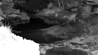 Still 1 from this detection