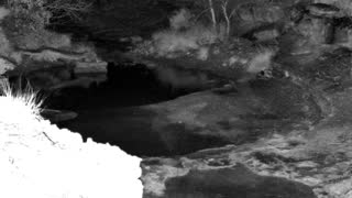 Still 1 from this detection