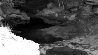 Still 1 from this detection