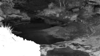 Still 1 from this detection