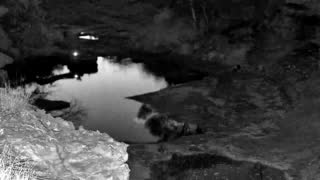 Still 1 from this detection
