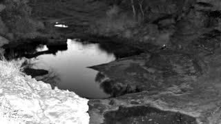 Still 1 from this detection
