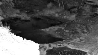 Still 1 from this detection