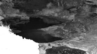 Still 1 from this detection