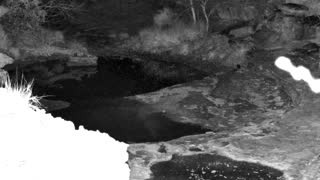 Still 1 from this detection